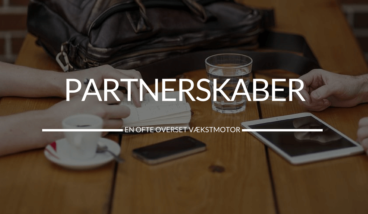 PARTNERSKABER (2)