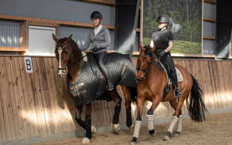 Saxis case: Salget af ridetøjsbrand.