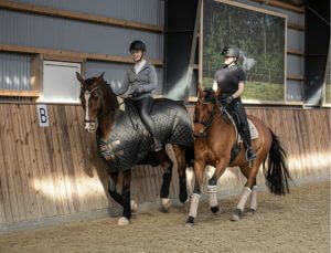 Saxis case: Ridetøjs webshop 4 år - Elgorre.dk - med eget brand